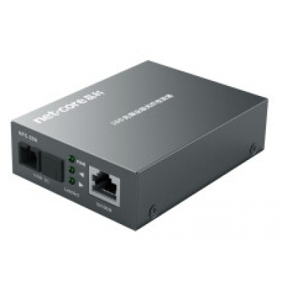 磊科 NFC20單模單纖光纖收發(fā)器光電轉(zhuǎn)換器 NCF20A 單只（百兆）